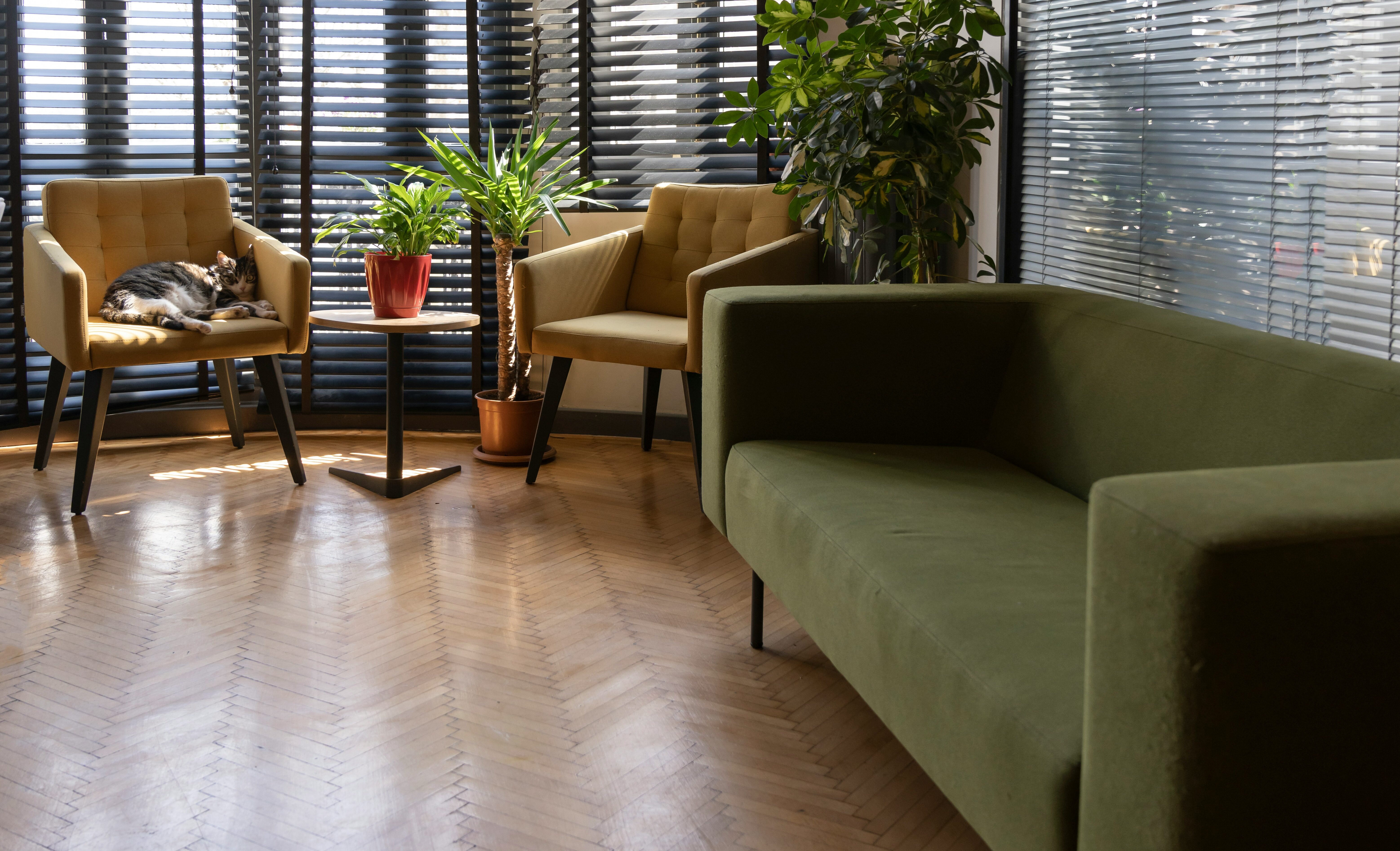 Warm couples therapy room showing supportive space for relationship healing.